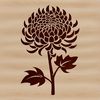 Hand-Drawn Nature Graphic A detailed, hand-drawn illustration of a Chrysanthemum flower with intricate details and realistic texture.