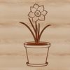 White Daffodil in Wooden Planter A single white daffodil flower with yellow trumpet-shaped center, growing out of a green pot on a wooden surface.