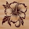Layered Petal Floral Design A detailed illustration of a single Hibiscus flower with layered petals and prominent stamen.