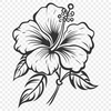 Flower PNG For Download - Free Commercial Use License