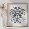 Chrysanthemum In PDF For Download, Free Commercial Use