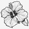 Stunning Hibiscus SVG - Free Commercial Use Download