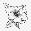 Floral Flower In PNG - Free Download