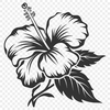 Free Hibiscus In SVG, PNG, PDF And DXF File Formats - Free