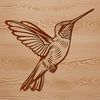 A colorful hummingbird in flight, its iridescent feathers glistening as it hovers in mid-air.