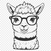 Adorable Andean Camelid in Glasses An adult alpaca with a pair of glasses perched on its head.