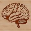 Human Anatomy SVG Graphics A detailed diagram illustrating the human brain's anatomy.