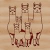 Fuzzy South American Camelid Portrait A South American camelid animal with a soft, fuzzy coat and long neck.