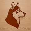 Beautiful Husky Portrait Vector Illustration A digital illustration of a Husky's head, suitable for vector design projects.