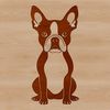 Free SVG Clip Art of a Sitting Boston Terrier A small breed dog sitting on its hind legs with a short coat and adorable facial expression.