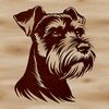 A illustration of a small to medium-sized dog breed with a distinctive beard.