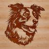 Beautiful Aussie Breed Digital Art A high-quality digital illustration of an Australian Shepherd dog's head with detailed features and fur texture.