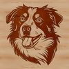 Detailed Australian Shepherd Dog Breed Illustration Australian Shepherd dog breed illustration featuring a detailed head and facial features.