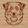 Loyal Aussie Companion Illustration A realistic illustration of a loyal Australian Shepherd dog's head, suitable for graphic design and crafting projects.