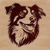Australian Shepherd Head Vector Illustration A high-quality vector illustration of an Australian Shepherd's head, suitable for various design applications.