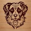 A detailed illustration of a dog's head, specifically the features and facial structure of an Australian Shepherd breed.