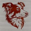 Detailed Canine Portrait SVG Design A detailed illustration of a dog's head with distinctive Australian Shepherd features.