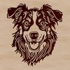 Intelligent Canine Companion An illustration of a dog breed known for its intelligence and agility, specifically the Australian Shepherd.