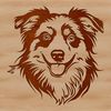 Free Vector Art Illustration of a Shepherd Breed A medium-sized Australian Shepherd dog with a distinctive head shape and coat pattern.
