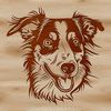 Free SVG Clip Art Dog Designs Illustrated portrait of a fluffy Australian Shepherd dog with its head held high.