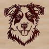 Lovable Aussie Head Illustration A high-quality digital illustration of an Australian Shepherd's head, suitable for various design projects.