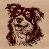 Floppy Eared Companion Illustration Close-up illustration of an Australian Shepherd's head featuring a floppy ears and a distinctive muzzle shape.