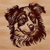 Close-up of a Australian Shepherd dog's head, high-quality vector illustration suitable for digital designs and crafts.