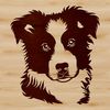 Adorable Australian Shepherd Close-up Close-up of a medium-sized Australian Shepherd's head, with brown eyes and floppy ears, depicted in simple vector lines.
