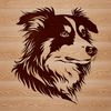 A portrait of a medium-sized dog with a thick coat, featuring the distinctive markings of the Australian Shepherd breed.