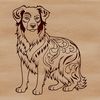 Australian Shepherd Breed Icon An illustration of a standing Australian Shepherd dog breed with detailed features.