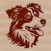 Headshot Portrait Dog Breed Illustration A high-quality digital illustration of a head-on portrait of a typical Australian Shepherd breed dog.