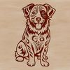A portrait of a sitting Australian Shepherd dog with ornate details.