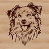 Image of a head-on portrait of an Australian Shepherd dog breed, suitable for vector graphics and cutting machine designs.