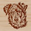 Beautiful Canine Facial Illustration A close-up illustration of a mature Australian Shepherd dog's head with detailed facial features.