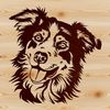 A portrait illustration of a Australian Shepherd dog's head with distinct facial features.