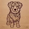 Ornate Australian Shepherd Illustration A illustration of a sitting Australian Shepherd dog with ornate features.