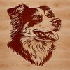 Aussie Dog Breed Profile A close-up illustration of a dog's head with a distinctive Australian Shepherd breed profile.