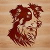 Close-up vector illustration of an Australian Shepherd's head with detailed facial features and fur texture.