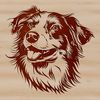 A portrait of a Australian Shepherd dog with a distinct head shape, suitable for clip art designs.