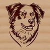 Vector Portrait of an Aussie Shepherd Dog Illustrated Australian Shepherd dog breed portrait in vector format.