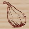 Gourmet Food Template Illustration A detailed illustration of a squash, suitable for vector design and commercial or personal use as a template.