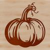 A digital illustration of a mature squash gourd with intricate details.