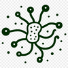 A simple illustration of a bacteria cell in outline form.