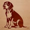 A sitting beagle dog in vector format.