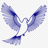 White Dove in Flight Vector Graphic A simple white dove in flight with outstretched wings, depicted as a vector graphic.