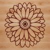 Beautiful Daisy Flower Clip Art A simple vector illustration of a daisy flower in various formats including SVG, PNG, and PDF.