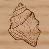 Vector Beachcomber's Delight An isolated vector graphic of a seaside-themed seashell design suitable for commercial or personal projects.