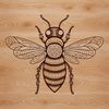 A detailed illustration of a bee with intricate details, suitable for gardening-themed designs.