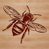 A detailed vector illustration of a busy honey bee in flight.