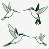 Bird Perched on a Branch Vector Art A colorful hummingbird perched on a branch, depicted as a detailed vector illustration.